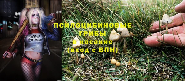 соль ск Белоозёрский